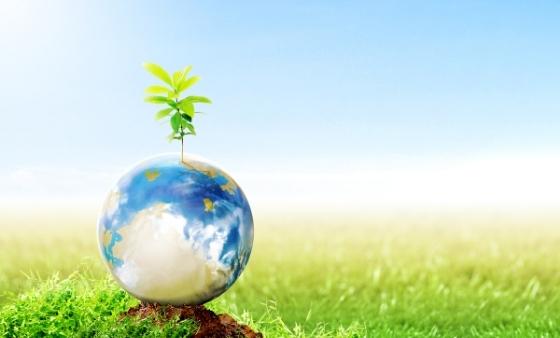 Earth Day Events - Nancy Dinshaw